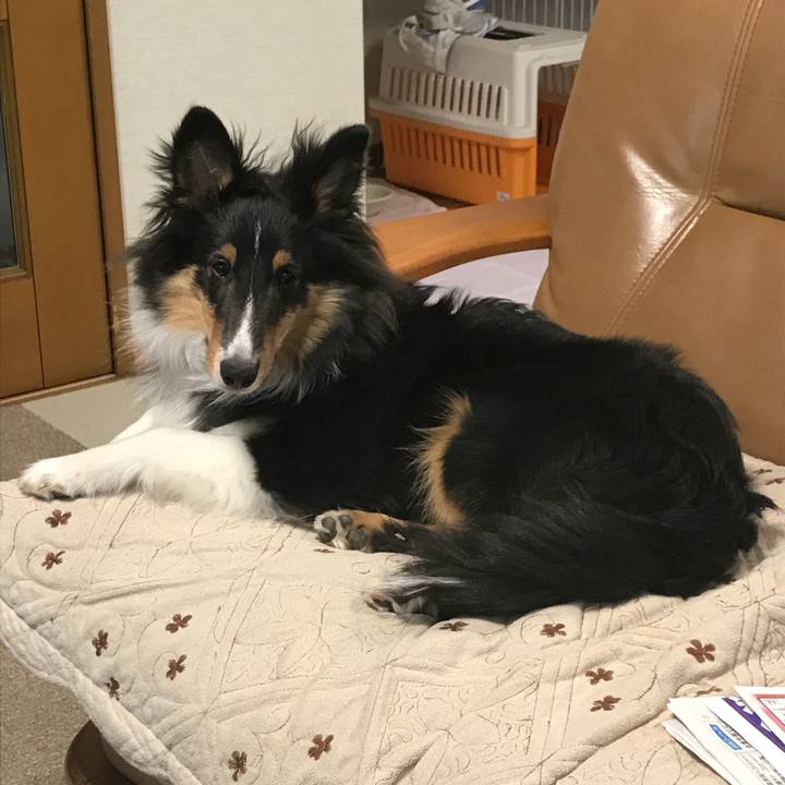 Df07a642 d34e 41c1 8d3b d850ce8b7e75 1520065124760