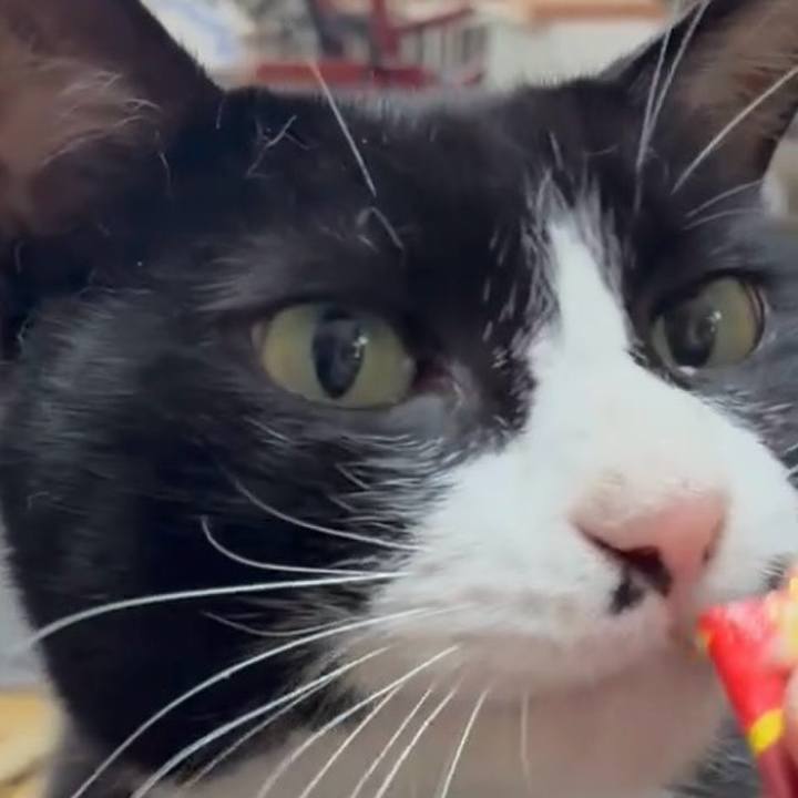 Df07c5f1 b1aa 4768 a286 35888e9e9896 1753321038293