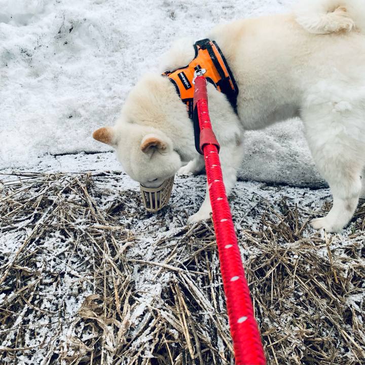 Df07d02d 05cb 41ed ba18 f0b45f58d3d2 1649366439705