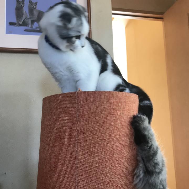 Df07ed3e 7c00 4447 936d d8c7fd451773 1635241765248