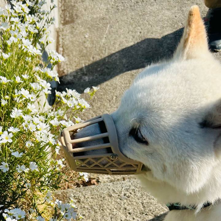 Df0804d9 4778 4b3a 8140 eaf3e47b739c 1684964405412