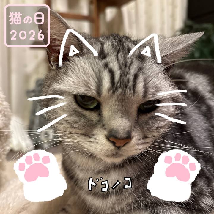 Df081050 c1cc 48b4 bf39 bc842559a2a2 1771751940198