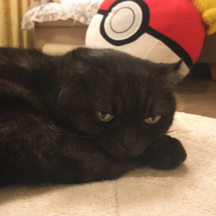 Df087b77 c04b 4dce 8f38 fe9a98f259ae 1513697072195