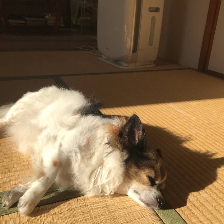 Df08877a 19b6 4dcc aa7a cf8c10cda539 1639542392420