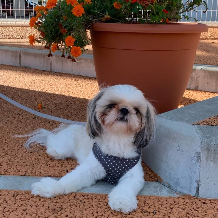 Df08dab9 2a62 482a 82f7 9cfa83dc1ad5 1571283502619