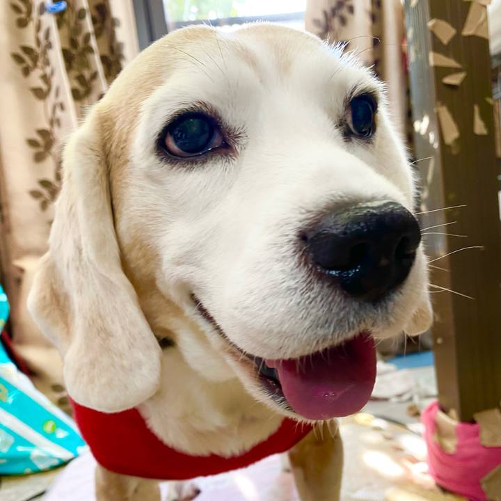 Df08ff74 0e2a 4fbf 8990 e51baacb72fb 1641701440540