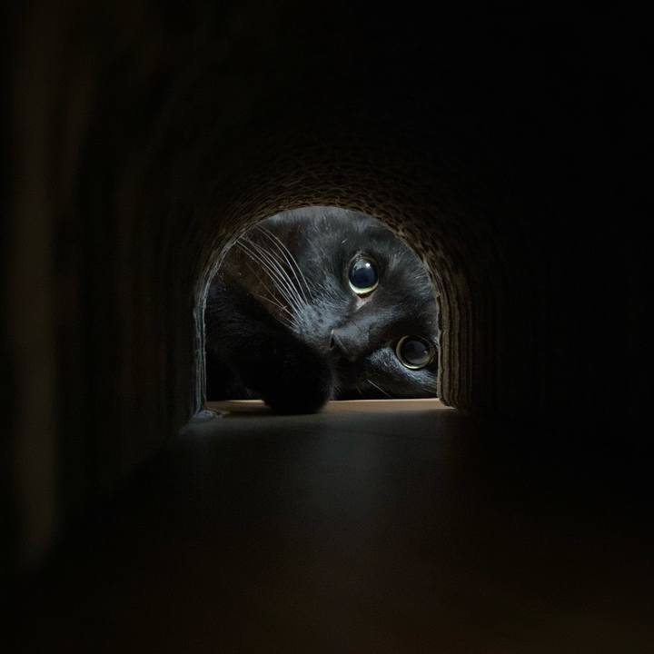 Df090480 437e 4661 bbee 27e39d1af4aa 1651060767368