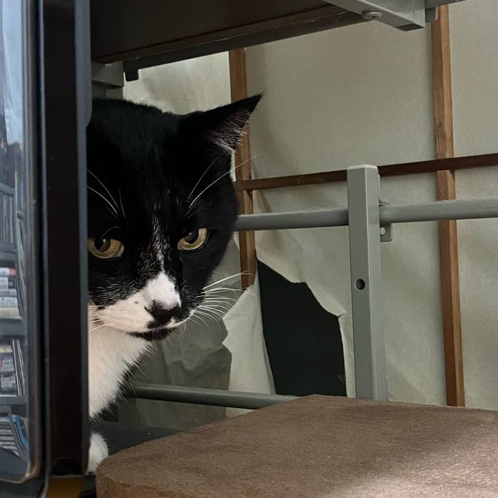 Df092dca b22f 4b9a b705 68c381233e44 1730781999721