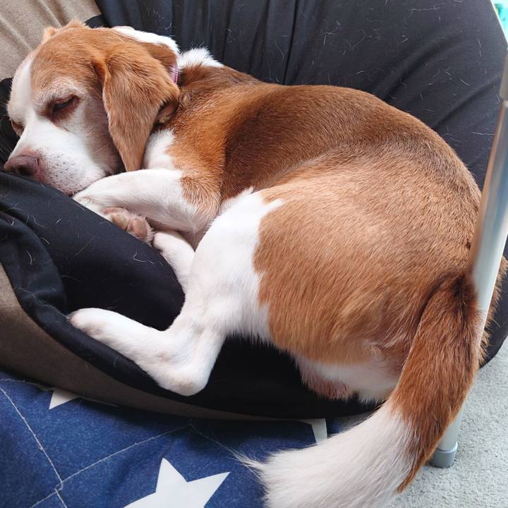 Df093279 d040 4d54 a2bd 6b8b22458bbf 1751426024202