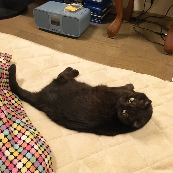 Df0983b0 79ef 4402 9b8a a36fbf27e6e1 1517233034541