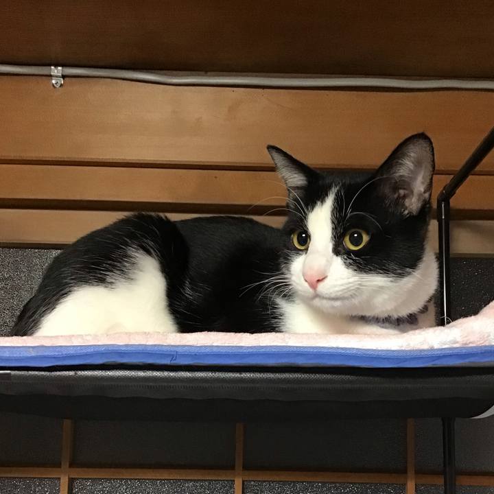 Df099d07 0feb 4290 a0be 3ffe68aa8a8a 1640642509619