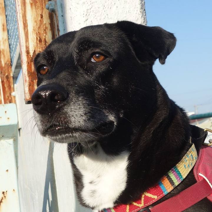 Df09a190 8b6b 4188 909c 273b7031a36e 1697157024519