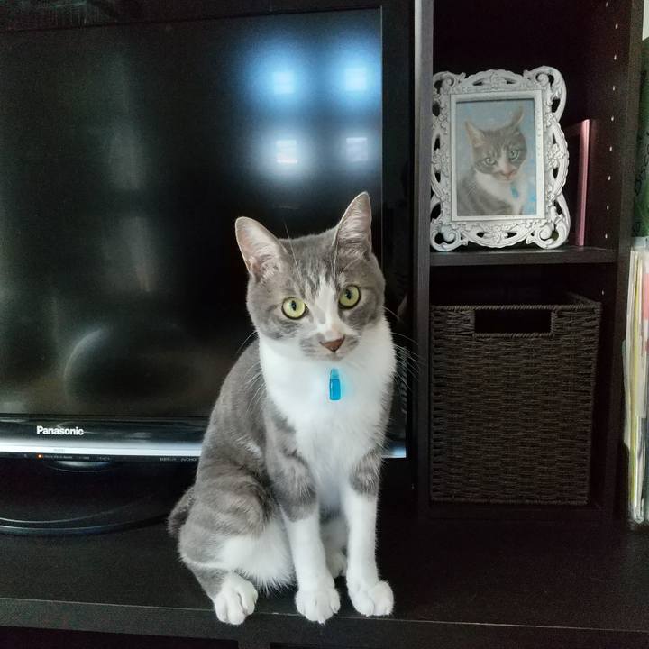 Df09a5ac c1d0 4328 a0c9 d2ba1f500a40 1597112662001