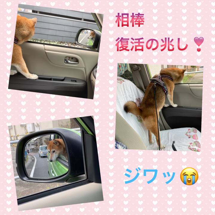 Df09ac31 91eb 4868 b62e 615fe3ce45b9 1664419922153