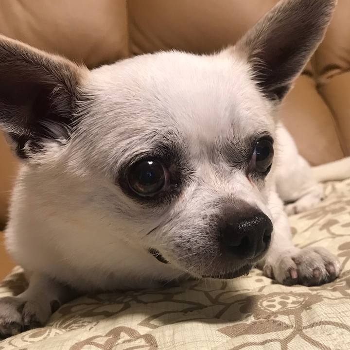 Df09b7b8 7f2a 4d15 bb16 a209ebb16418 1659586031045