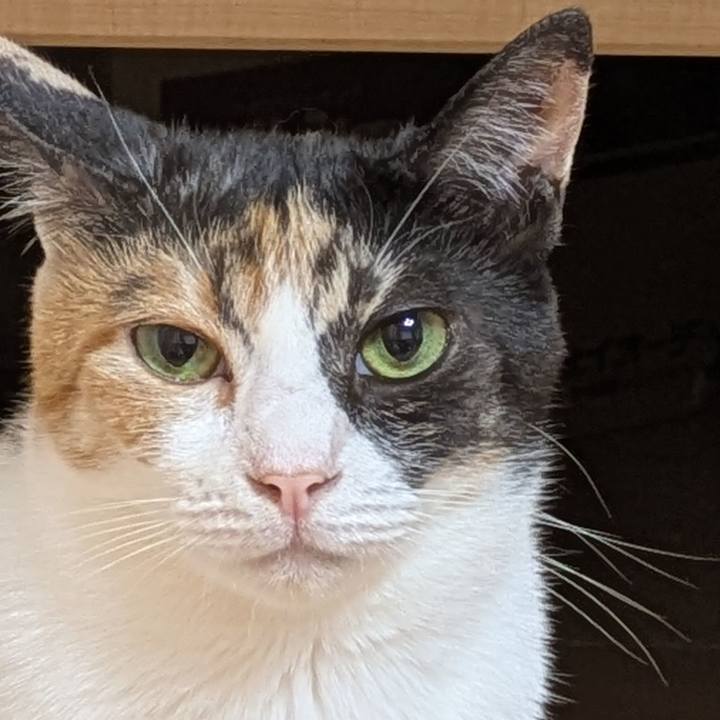 Df09cb04 141e 4636 ac6e 2dd1fa9176ed 1754823268955