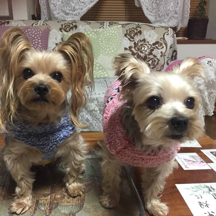 Df0a22dc 04c5 42c9 a4fb 6bc9ced5d53f 1544007100665