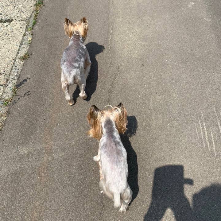 Df0a34e4 3dfd 4368 a5e3 672df3782386 1657015570311