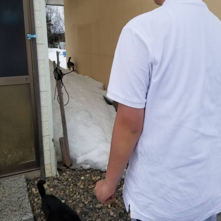 Df0a3be3 fe22 472a b7fe 5101c5b354ad 1648348714354