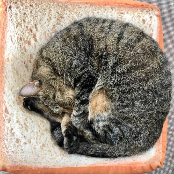 Df0a79b9 502a 4df8 8bb1 fdb7bb49e443 1573869097907