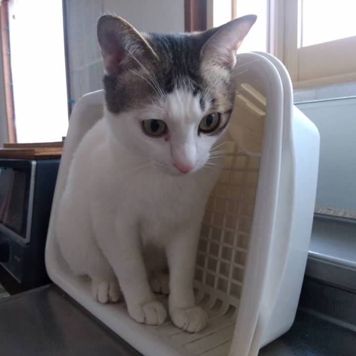 Df0ae2be bb90 4b7c 8116 43b601be1bf8 1677848489987