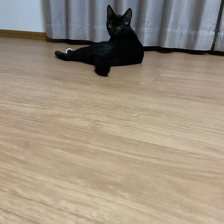 Df0af8d5 57da 4ea7 b8b9 d4c1ffe74b36 1746444360870