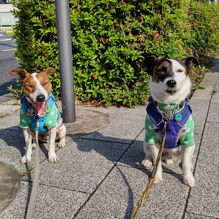 Df0b0b74 8edb 4d2c 806c c74f83f2d98e 1653345354655