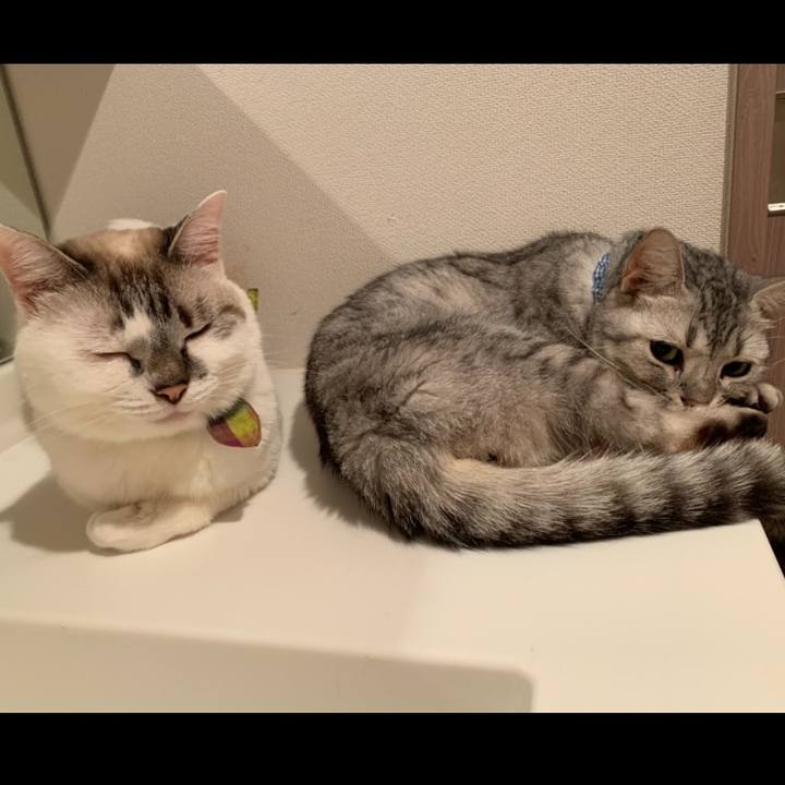 Df0b0cc5 4d24 4c65 a255 f4e7e5dcd0ae 1570108317821