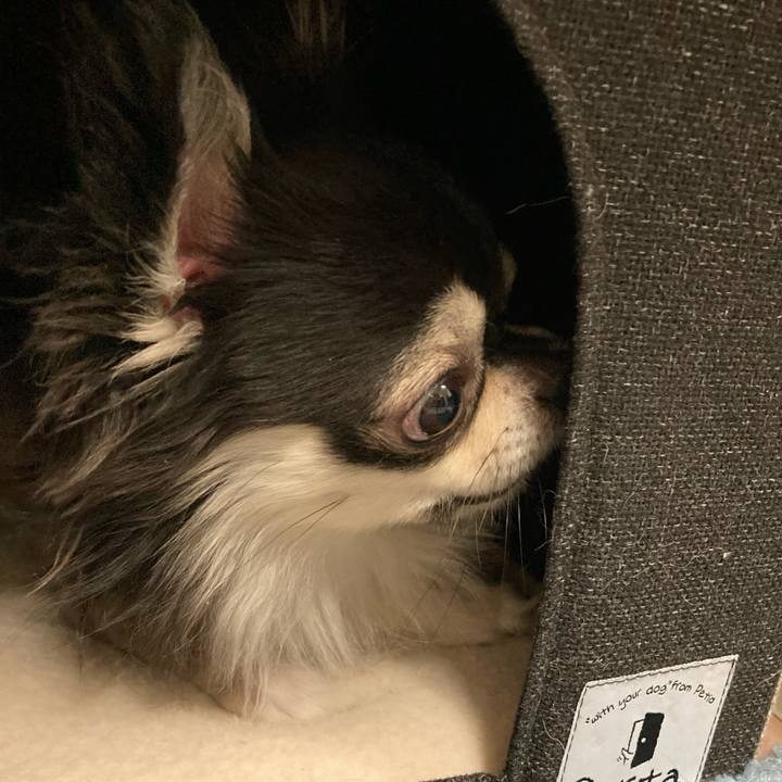 Df0b4abf a8c3 41fb b922 da765d2f483b 1655559113936