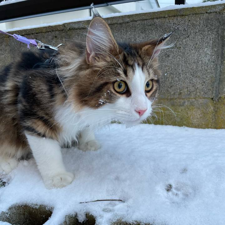 Df0b7820 931c 4f0f bd7e dc39c3a68f90 1639868975139