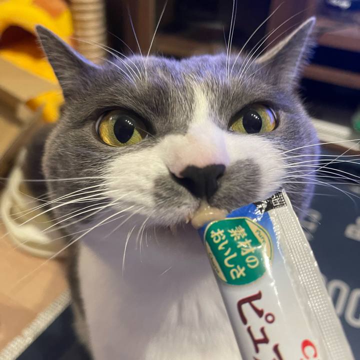 Df0b80bb ef23 418d b93a 942956a8ee0c 1702885946399