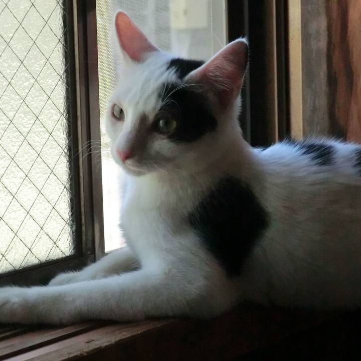 Df0b8519 47c1 4b84 8be7 59ee198b07c4 1568678252190