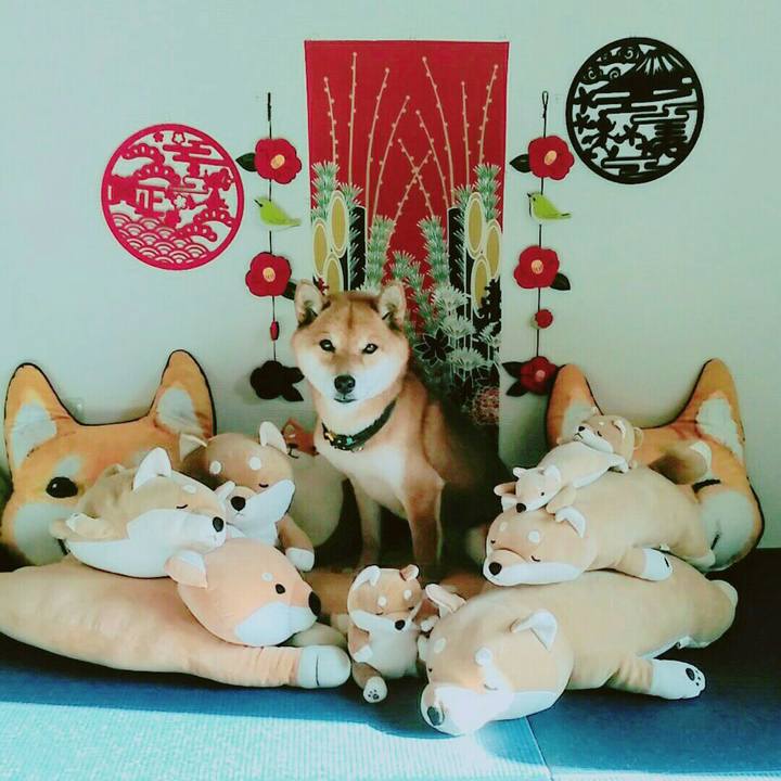 Df0b9d89 c3f5 4273 9dcc 76f1e7e791ac 1578626727358