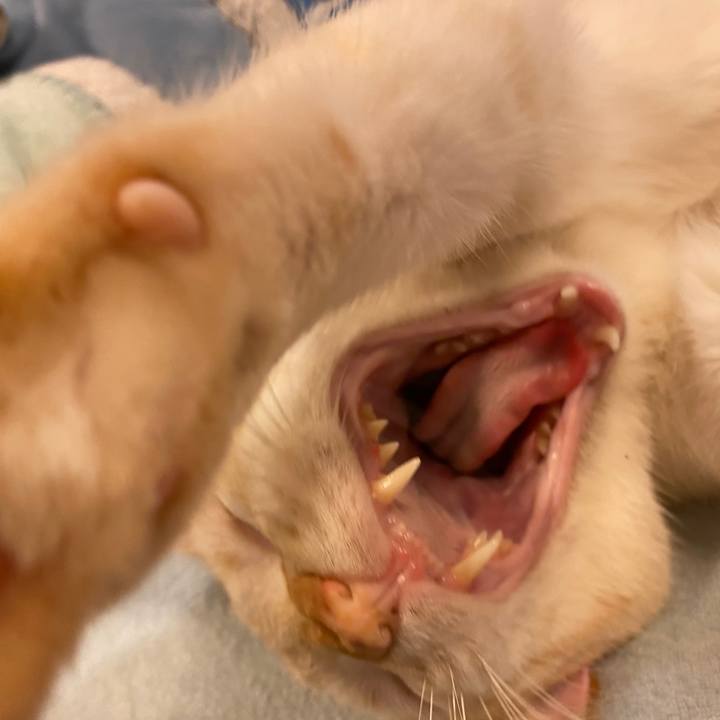 Df0ba225 7a22 4ede b580 644455cb1a94 1644898830739