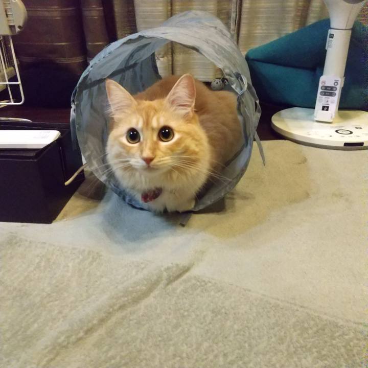 Df0ba6c1 6682 45da bb82 df09534f3107 1633609725353