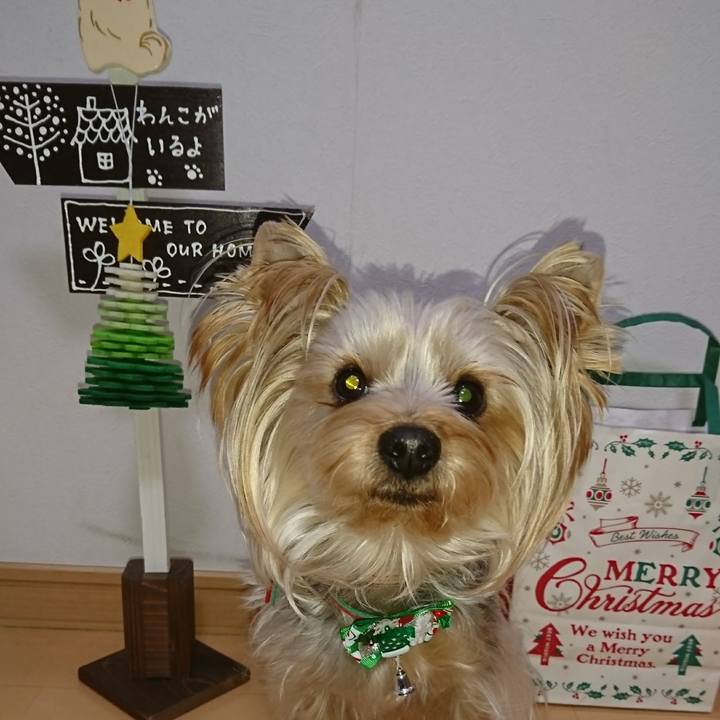 Df0bcacb 9c50 49cd 9a89 edd01e569cbf 1545514775239