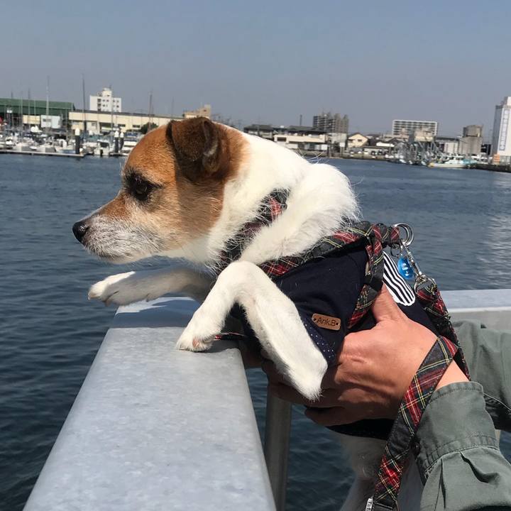 Df0c12b5 5a4a 461f 8bb7 1b7a05a5fcf4 1525482109782