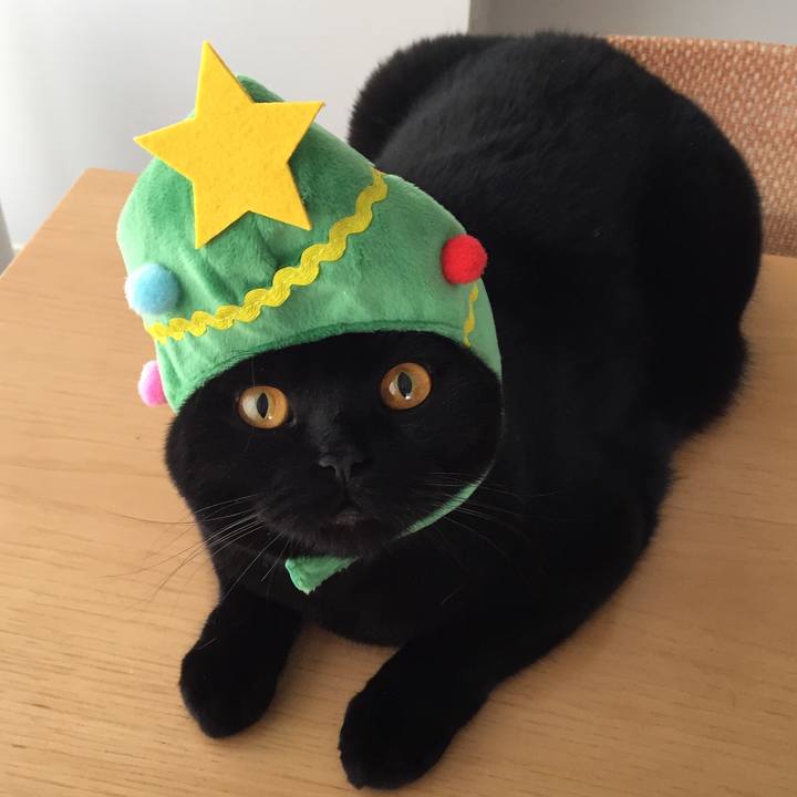 Df0c3873 7ed1 474e b6ef 460660668aa6 1514154144672