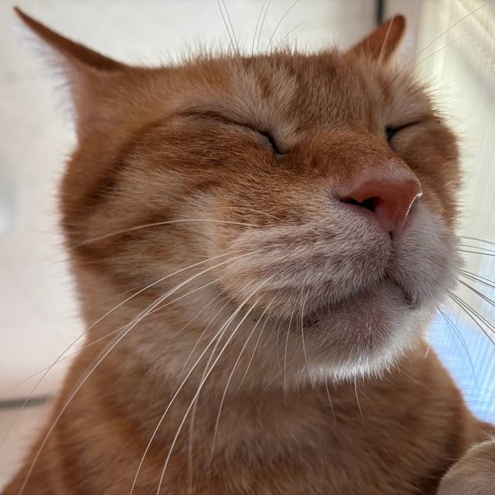 Df0c3ca8 fce2 46ac ac3d 3a54252e1a55 1752353071334