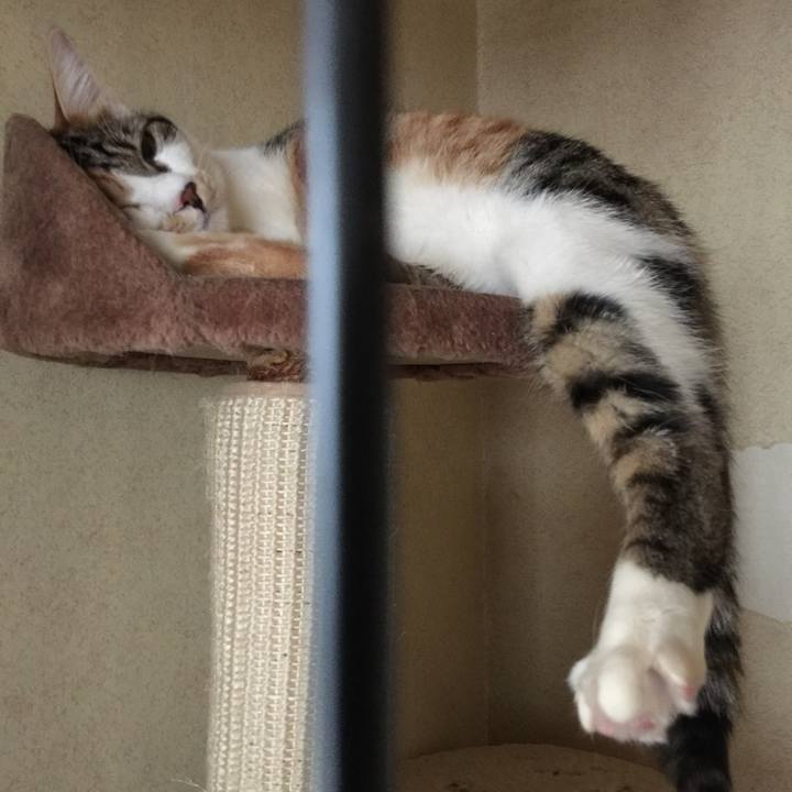 Df0c9fc5 d0ef 42ec b1c2 2f4023c06e0a 1651018794209