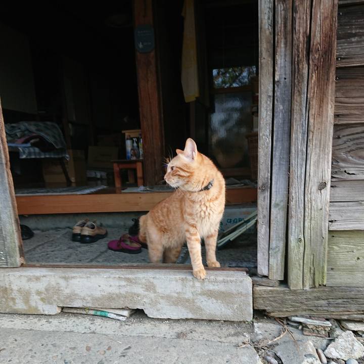 Df0cfc52 ad48 4aab b865 72799248da9d 1659131756240