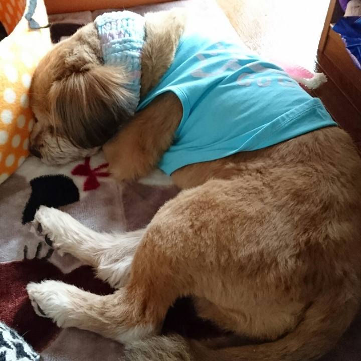 Df0d33cb 8d5e 4a05 855e edc56b58078c 1517354738780