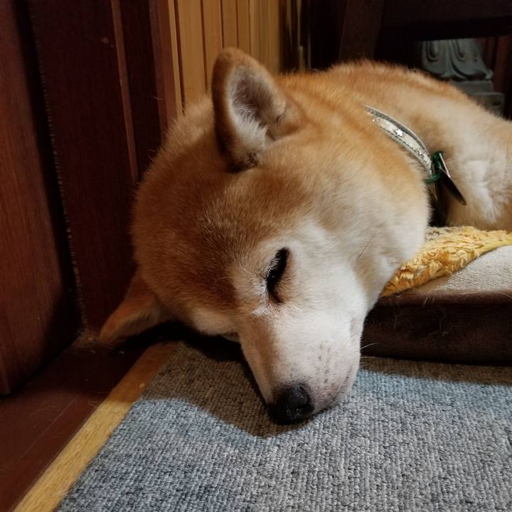 Df0d45ba 9648 4aee 8117 be36c182047a 1626952267797