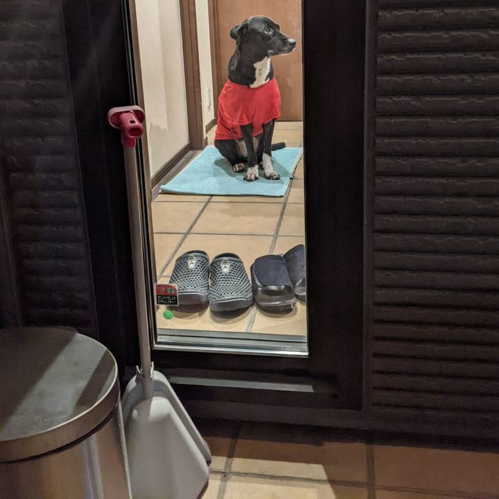 Df0d6e75 b2b7 4e94 8cd0 48ae3b41cb1d 1640618459937