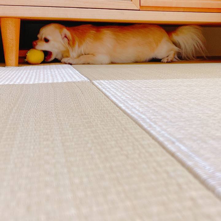 Df0d78a8 2972 45c0 a0b6 7d43b2430e30 1641780311125