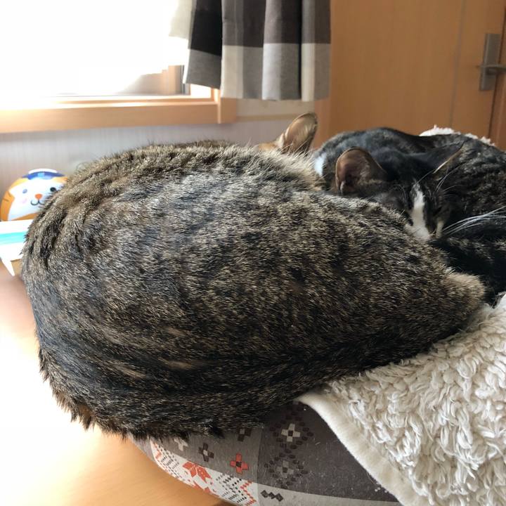 Df0e4508 b43b 48bb bdfc 2be483c79603 1522463452685