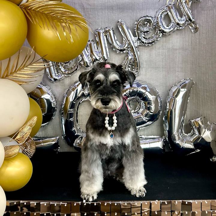 Df0e5cb4 b517 4e8a b4cc 2b5893bceb69 1703068939525