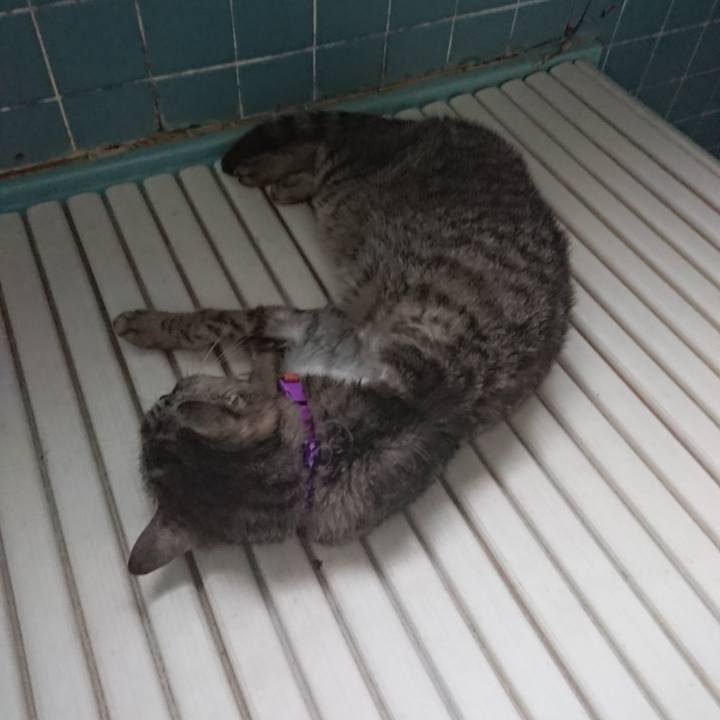 Df0e7652 a2c9 4a01 84d6 78c411b840b4 1594153626819