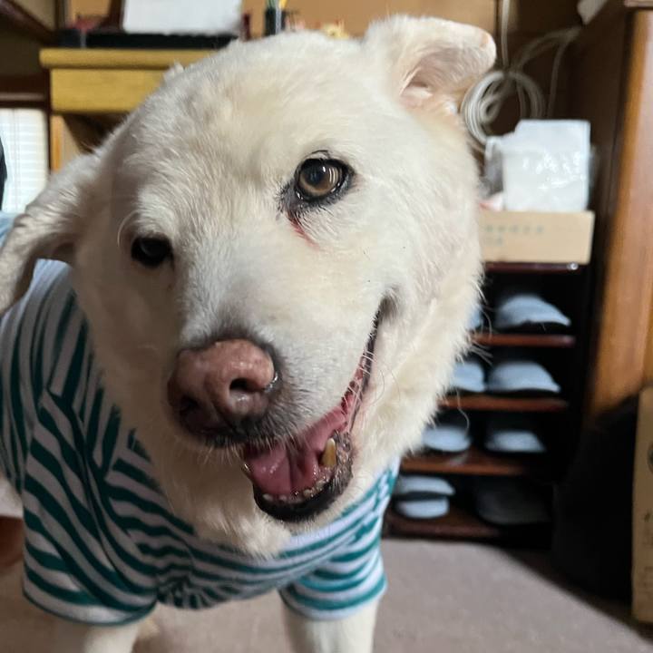 Df0eaf66 fdb0 4bbb b3bf bc094cdddae3 1768004696981