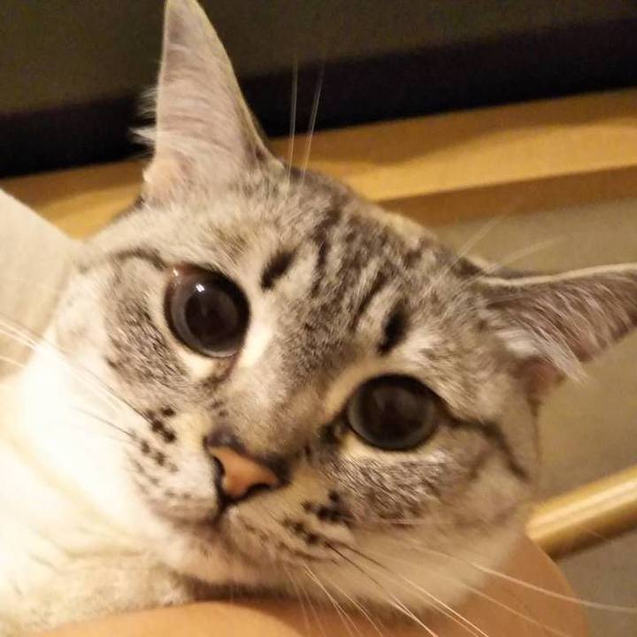 Df0ed6be 6646 40a5 8ca2 0799c0e0e397 1529412878470